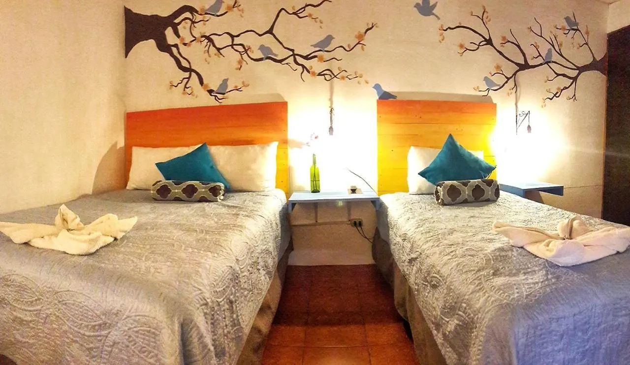 Hotel y Arte Norte Antigua